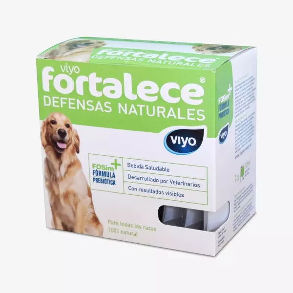 Viyo Canino