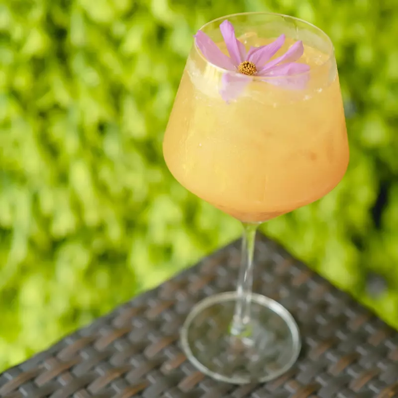 El Coctel de Valencia