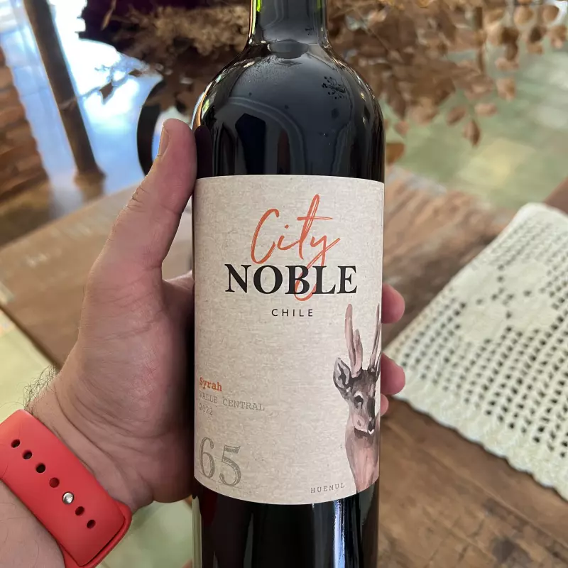 Vinho City Noble Syrah