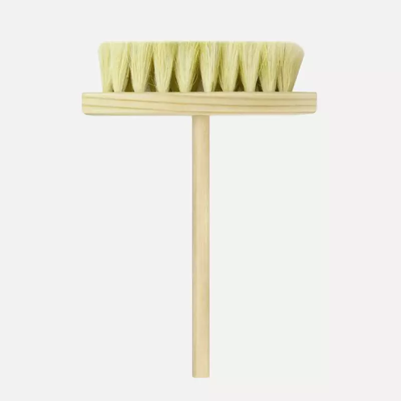 CEPILLO DE IXTLE