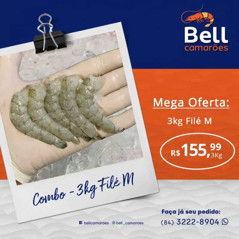 Combo promocional - filé M