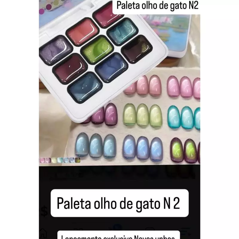 PALETA PAINT 9 CORES OLHO DE GATO N2