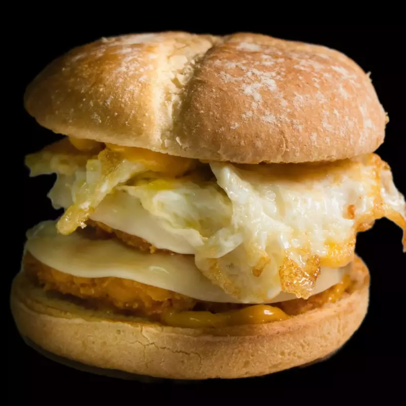 BURGER ESPECIAL