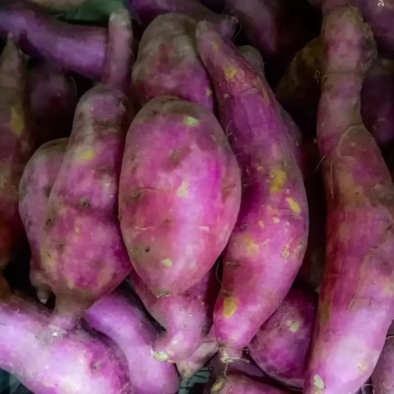 BATATA DOCE CASCA ROSADA ORG.1kg