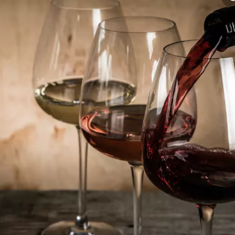 Vino tinto / Botella