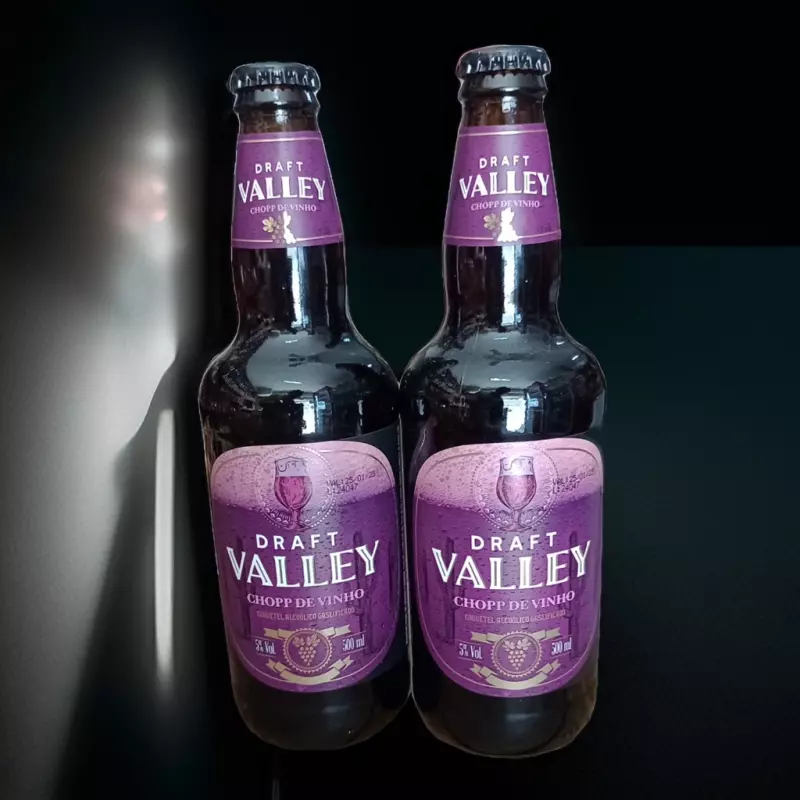 Chopp de Vinho Draft Valley 500ml