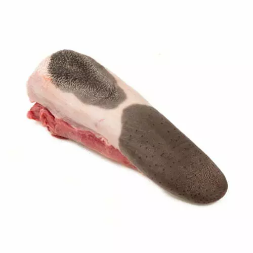 Lengua de Res