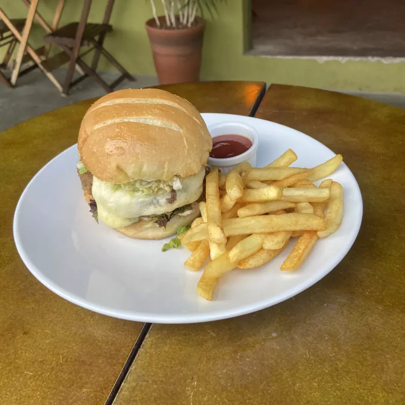 Bela Gil (vegetariano) 🌱