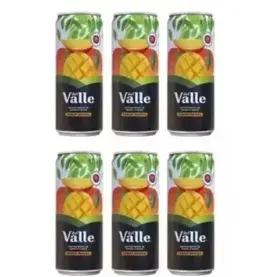DEL VALE MANGA 290ML