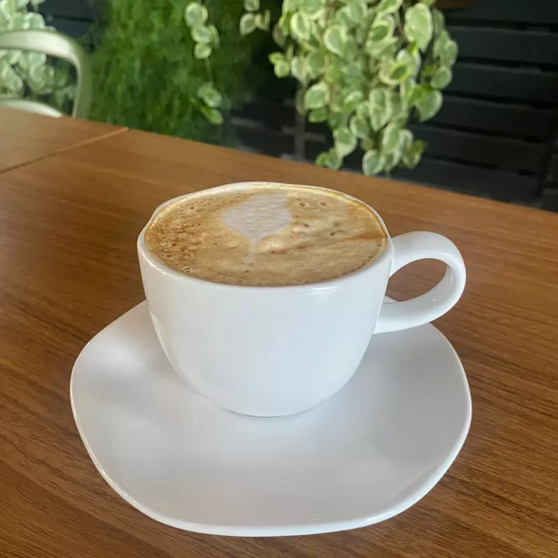 BOBI (LATTE CARAMELO)