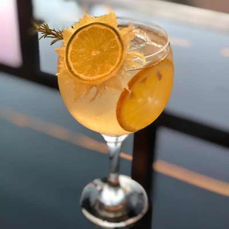 GIN TÔNICA