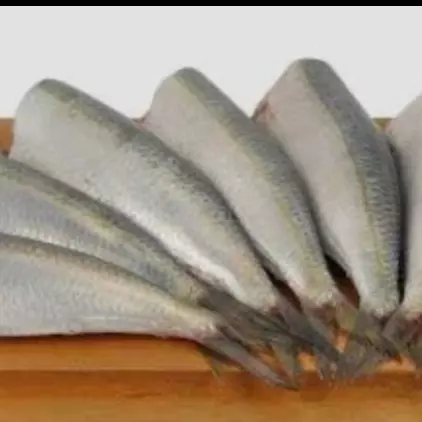 Sardinha evisc limpa