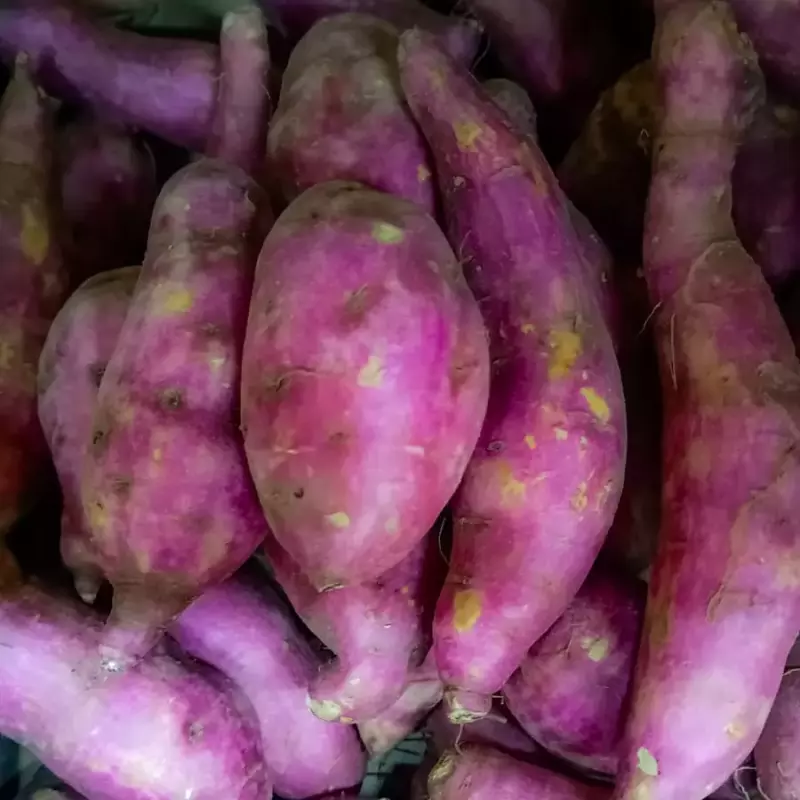 BATATA DOCE ORG CASCA ROSADA. 500gr