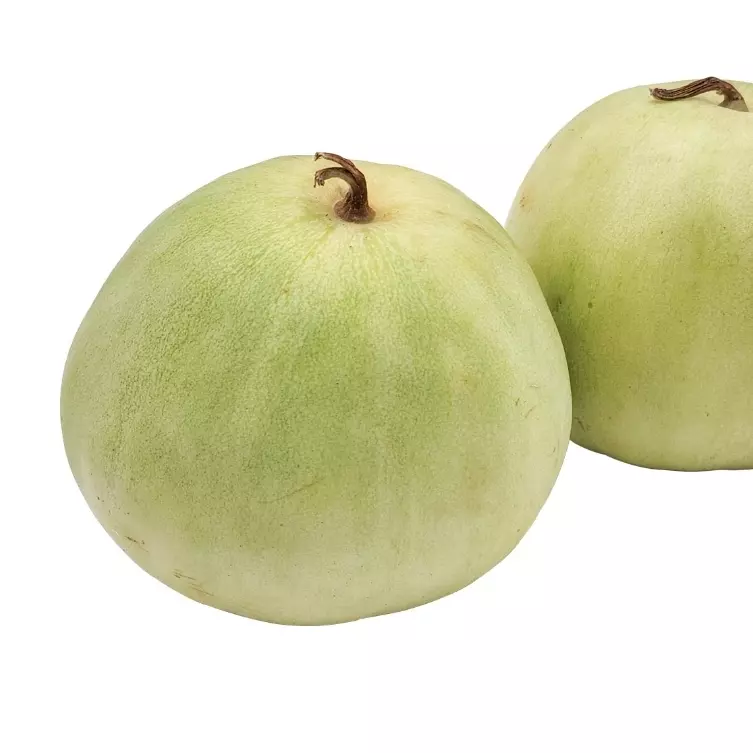 香瓜 melon chino
