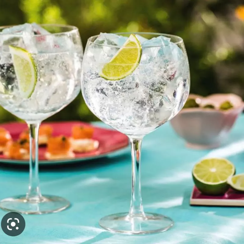 Gin Tonic