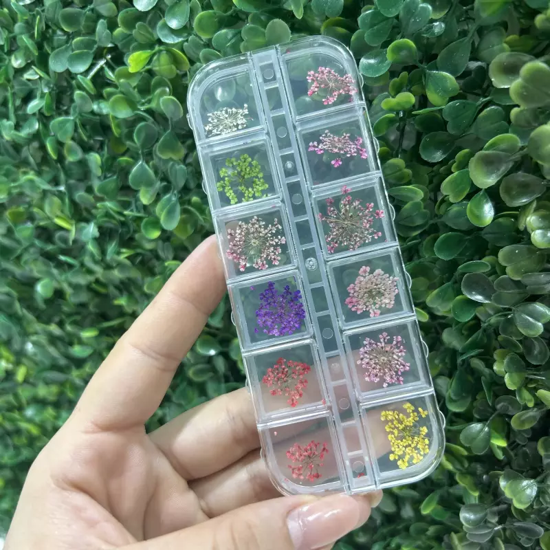 Flor Seca Minimalistas N•0