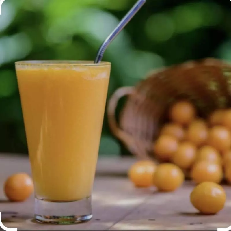 Suco natural 300ml taperebá c/Leite