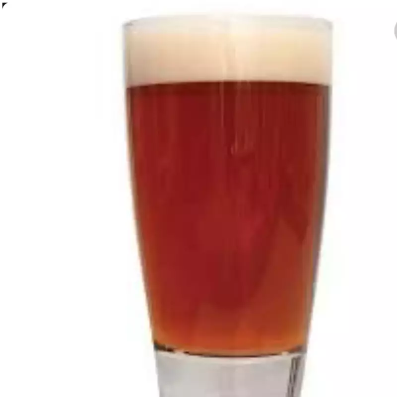 DOLBEK MAQUI 4.8° FRUIT BEER