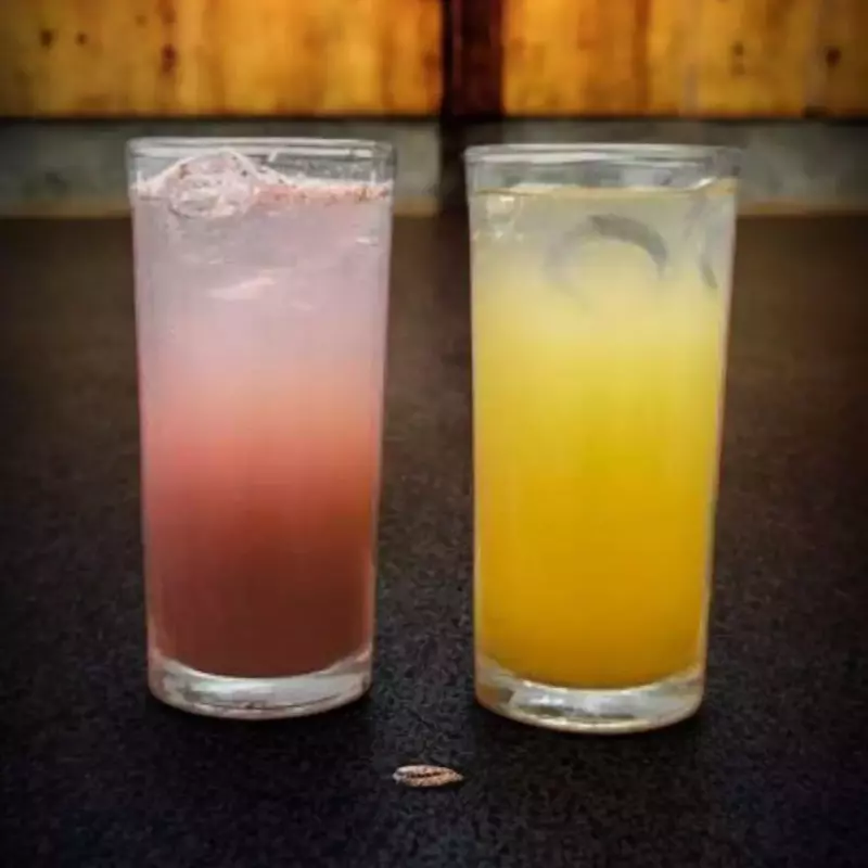 Cocktails sem Álcool