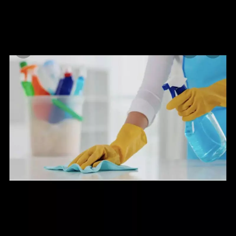 Higienização de Estofado