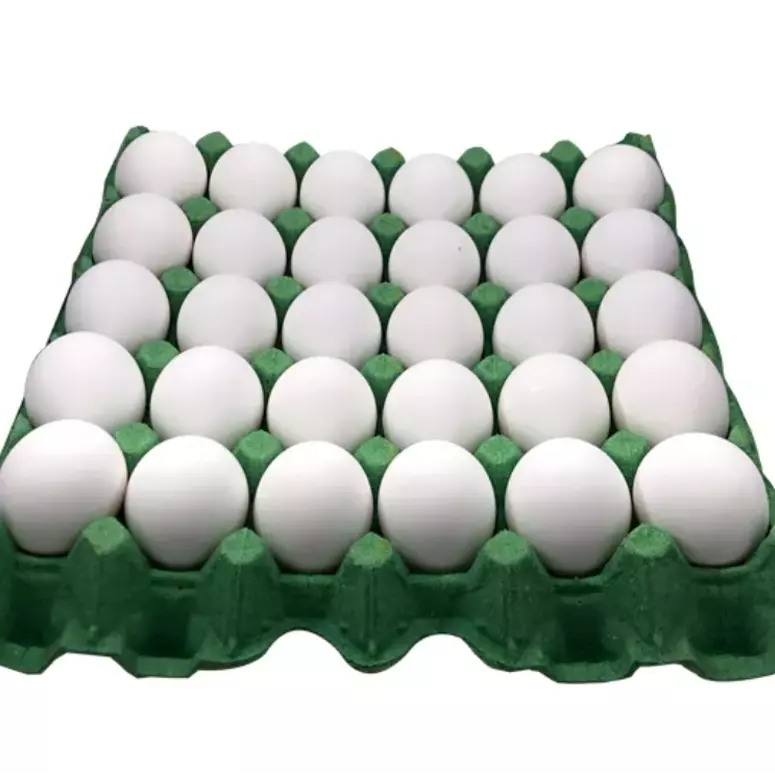 Cartón Huevos (30 unidades) 🅽🅴🆆