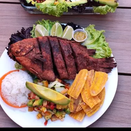 Tilapia