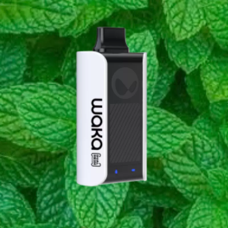 SpearMint