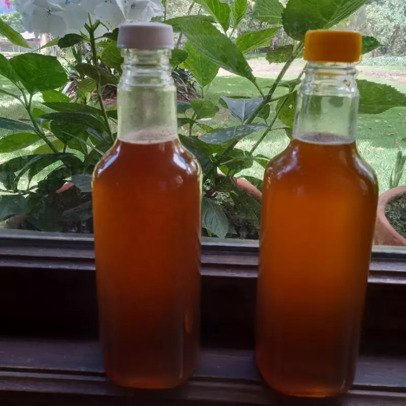 Miel de Abeja Pura x 500 ml