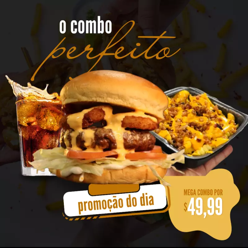 COMBO ONION + BATATA + REFRI LATA