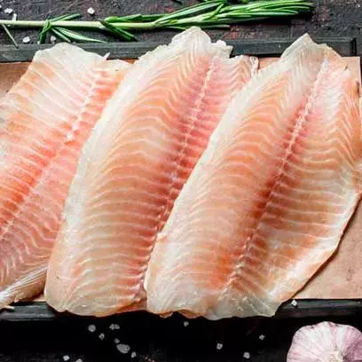 Tilapia