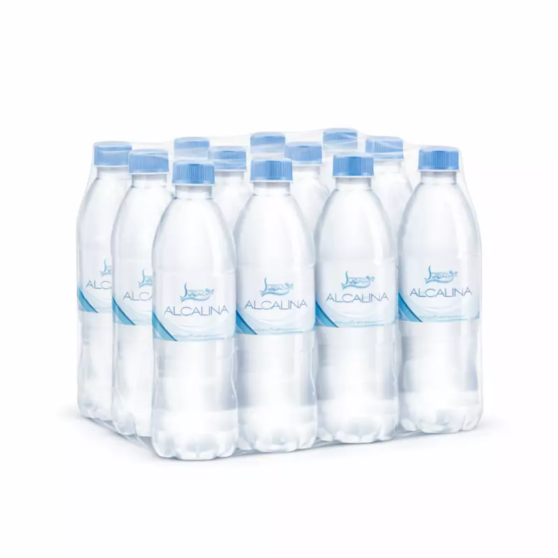 Paquete (12 Botellas de 500 ml)