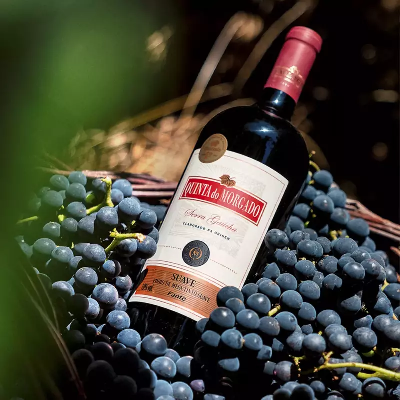 Vinho Quinta do Morgado (750ml)