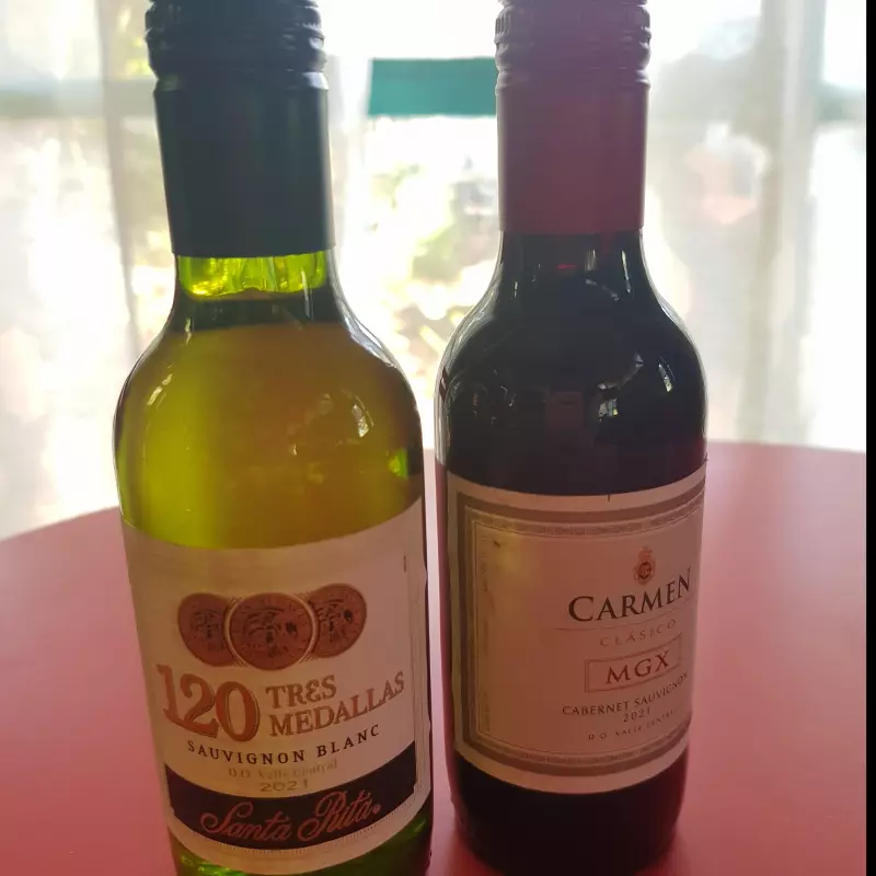 Vino tinto 200cc