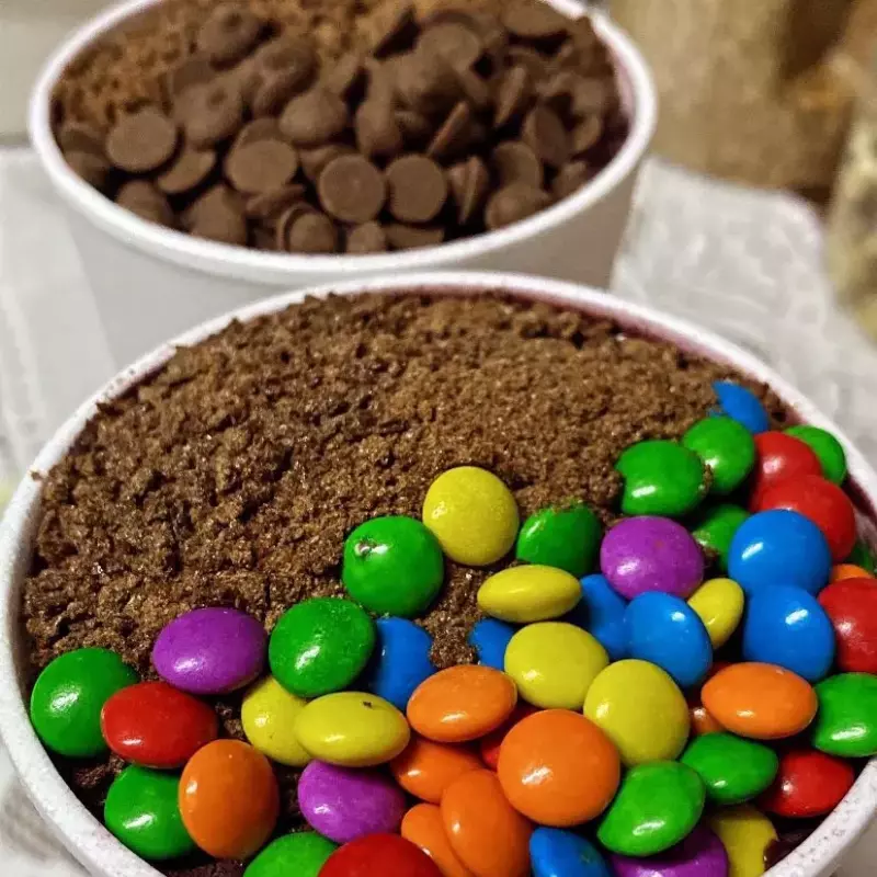 2 AÇAI  500 ML PARA SEU MOZÃO