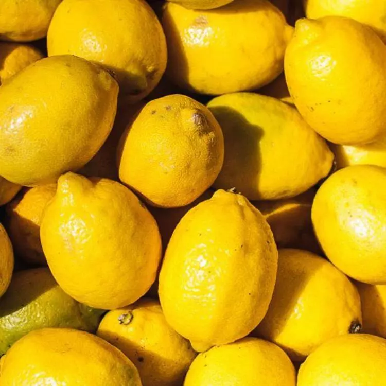 lIMÃO SICILIANO ORG 500G