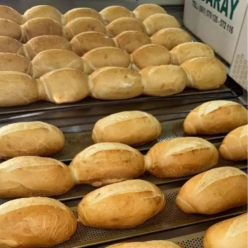 Pão francês 20,00 kg