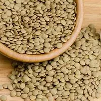 Lentilha Canadense 100g
