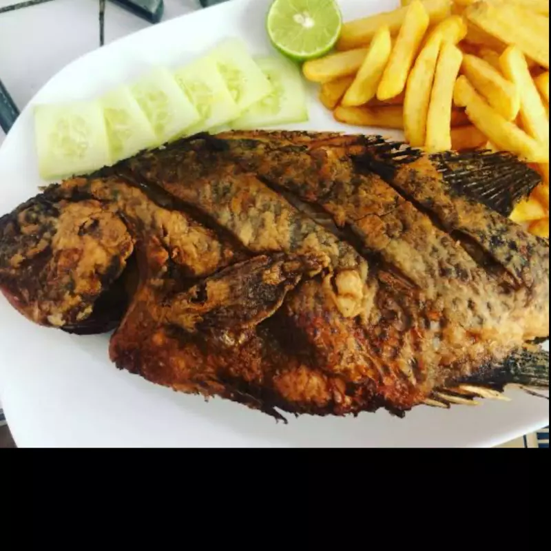 Mojarra FRITA