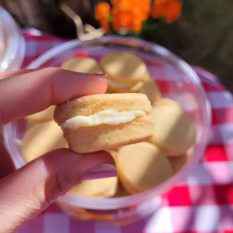 CASADINHOS SABORES 500G