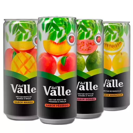 Suco Del Valle  lata 290ml