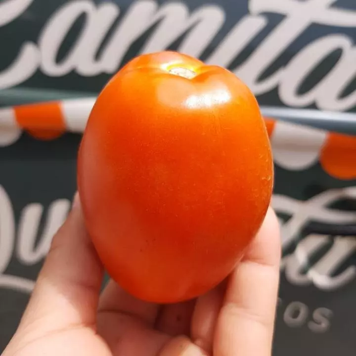 Tomate 500g