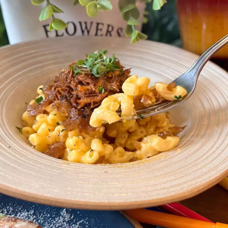 Mac N' cheese pulled pork
