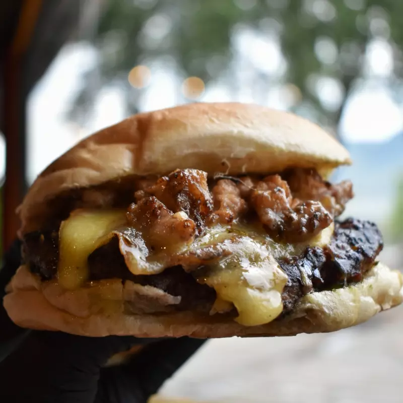 MATONA REGIA 🇲🇽