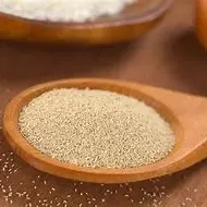 Levedo de Cerveja em Pó 100g