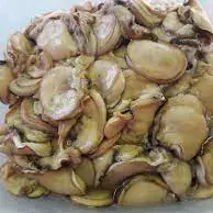 GORROS DE MAR EN AGUACHILE