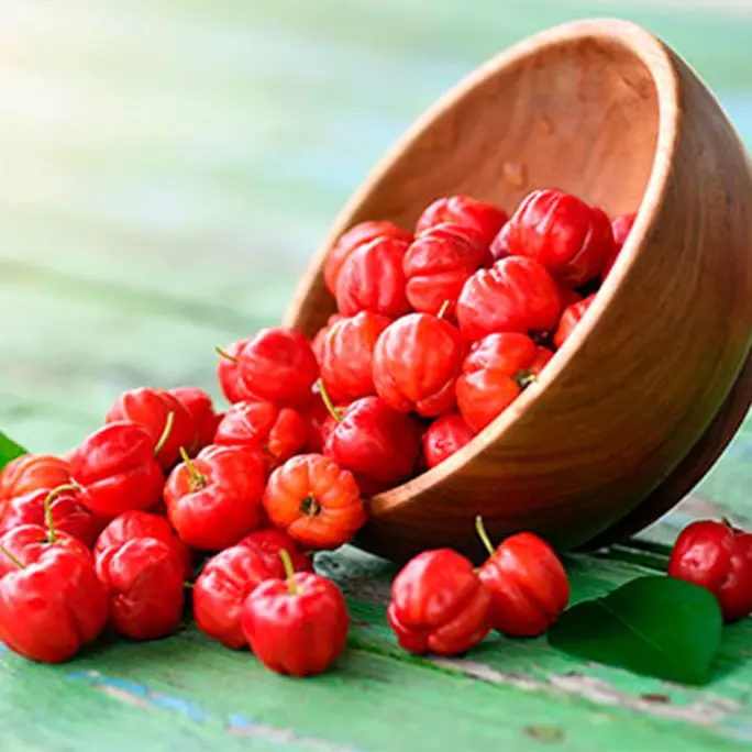 Acerola congelada 1kg