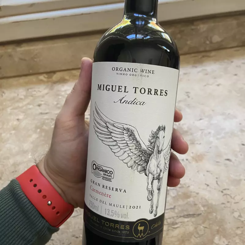 Vinho Andica Miguel Torres