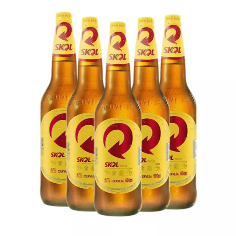 Caixa C/24 Skol 600ml