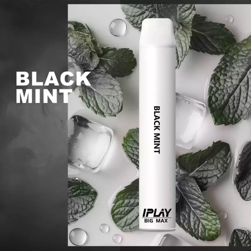 BIG MAX - BLACK MINT
