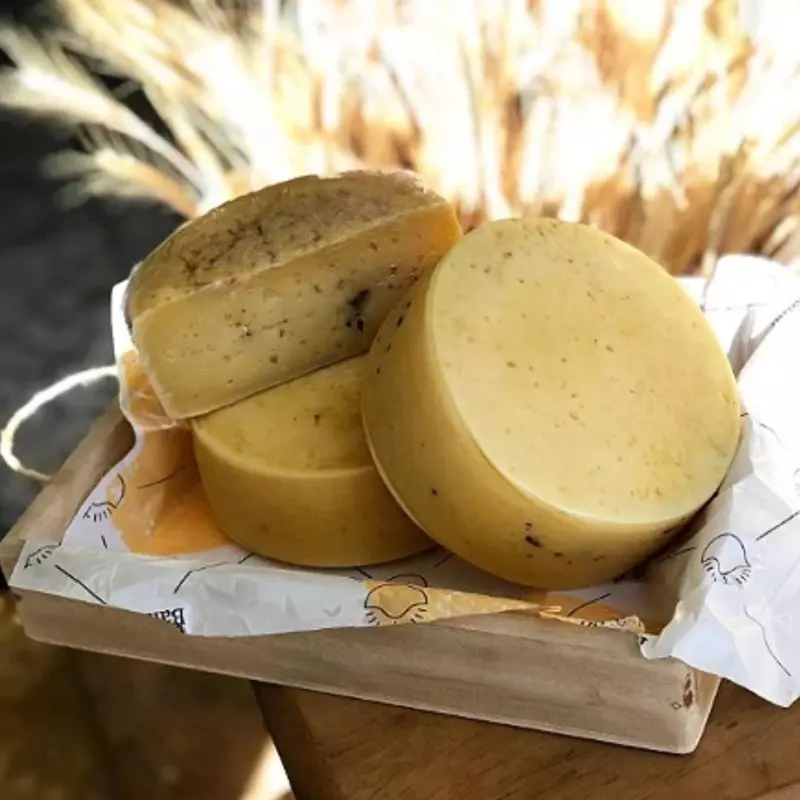 Romaria - Serra do Bálsamo